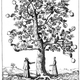 Image for article titled 14 Complex Data Visualizations That Take The Form Of A Tree